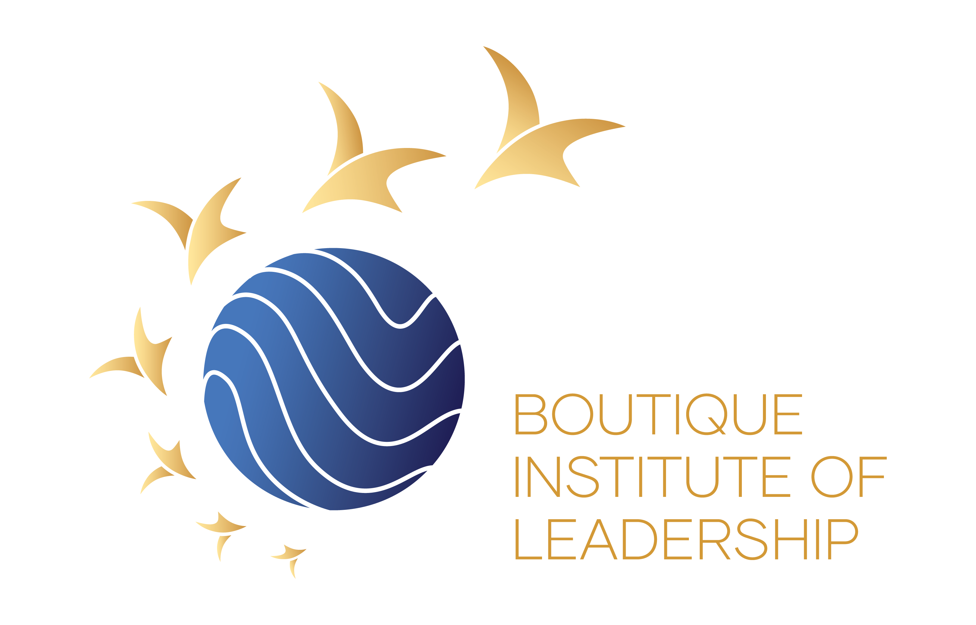 Boutique Institute of Leadership