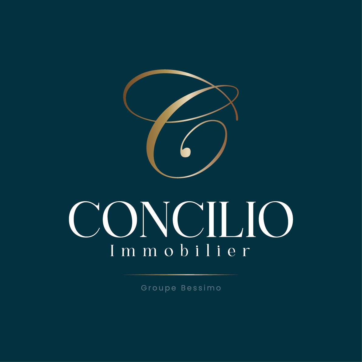 concilio immobilier