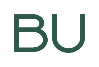 BU BREGAL UNTERNEHMERKAPITAL
