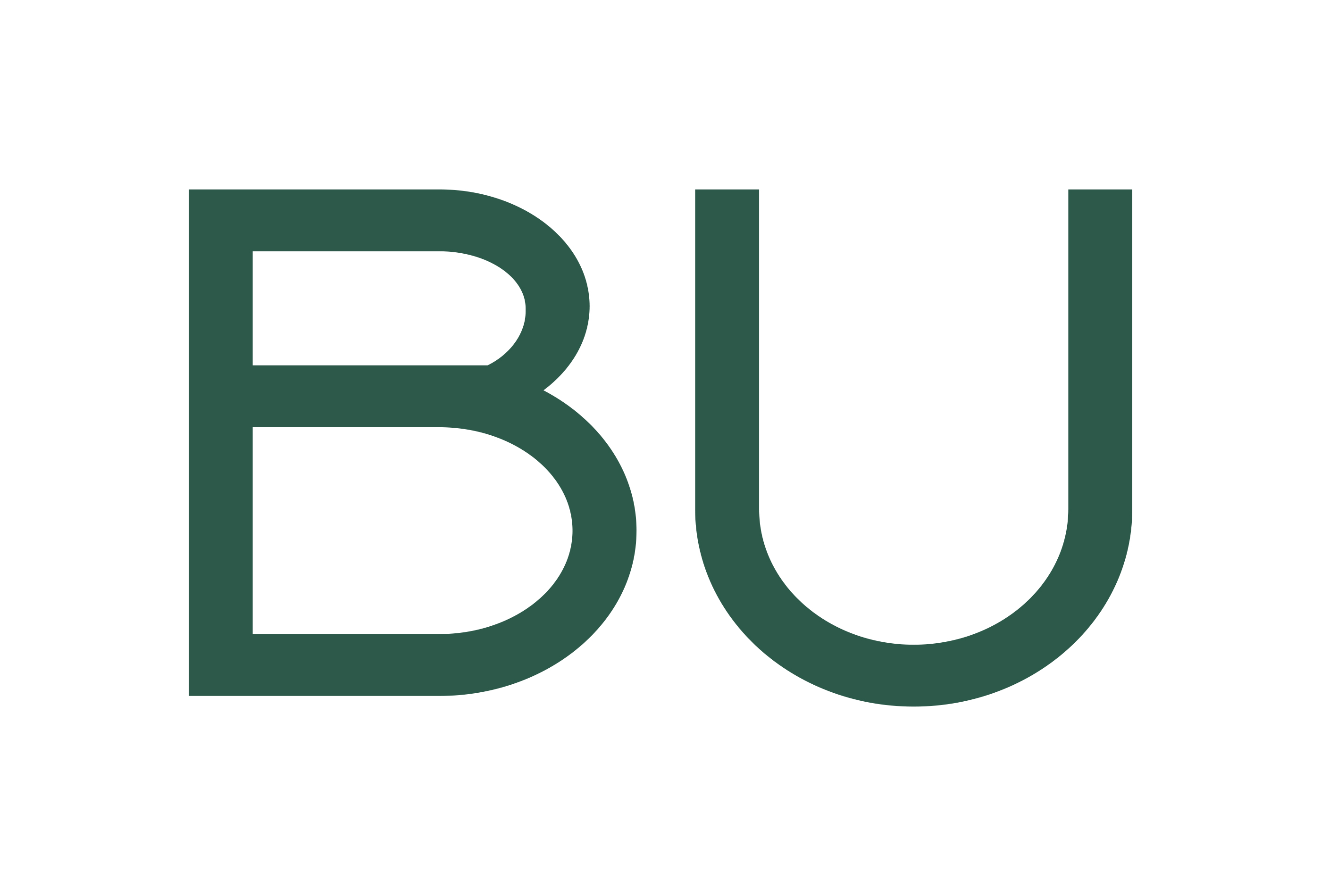 BU BREGAL UNTERNEHMERKAPITAL
