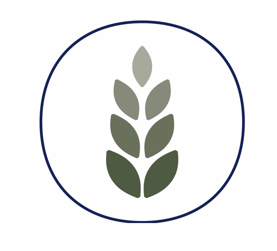 PAINE SCHWARTZ PARTNERS