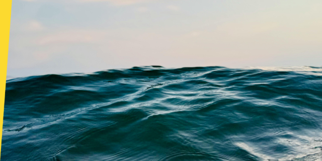 Market overview of the Offshore Renewable Energy projects in France