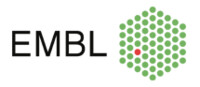 Senior Platform Developer