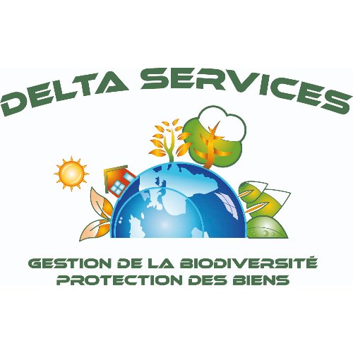 DELTA SERVICES