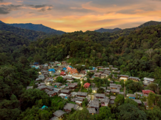 Session 5: Forestry and rural development