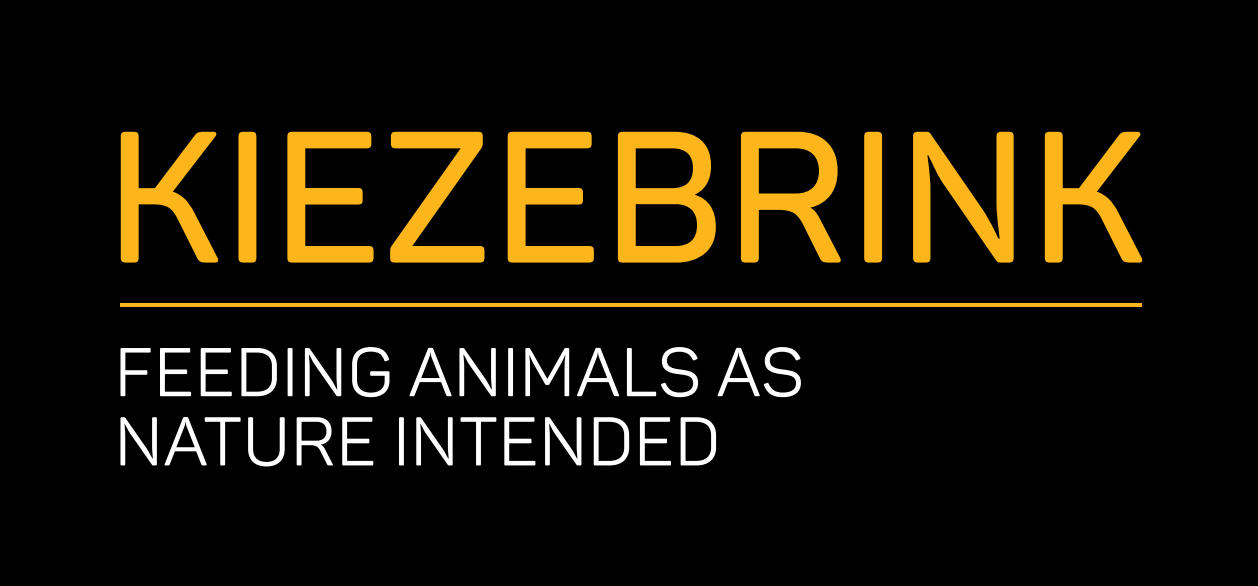 KIEZEBRINK