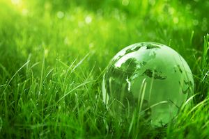 5 résolutions puissantes pour faire de 2026 l’année où votre entreprise s’engage (enfin) pour l’écologie – Par Thomas Burbidge
