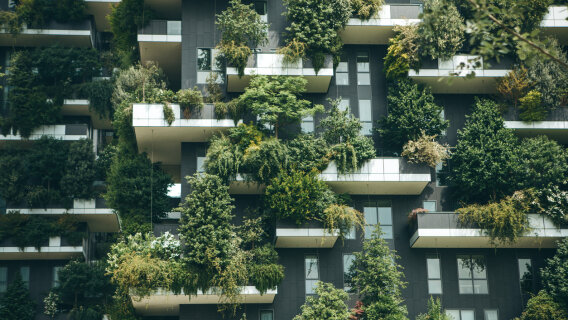 Quand la « valeur verte » agit sur les loyers de bureaux
