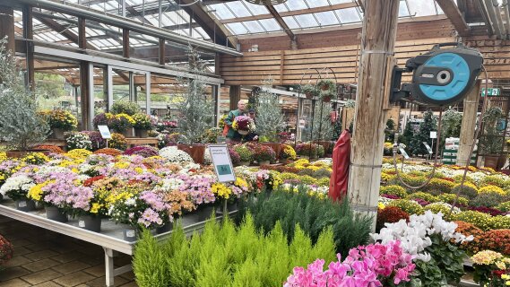 Marché du jardin : les 5 enseignements clés d’une année contrastée