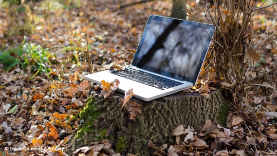 Ecoconception web : les grands acteurs ont encore beaucoup de progrès à faire !