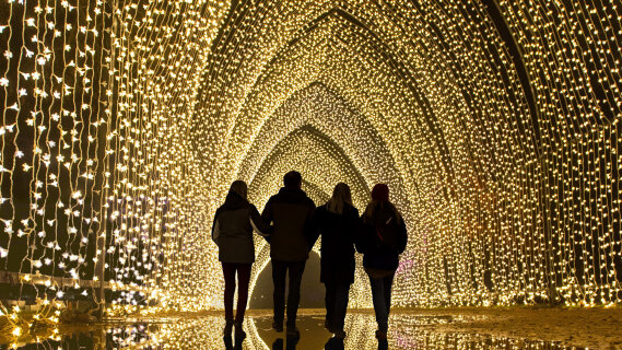 5 sorties lumineuses de fin d'année  