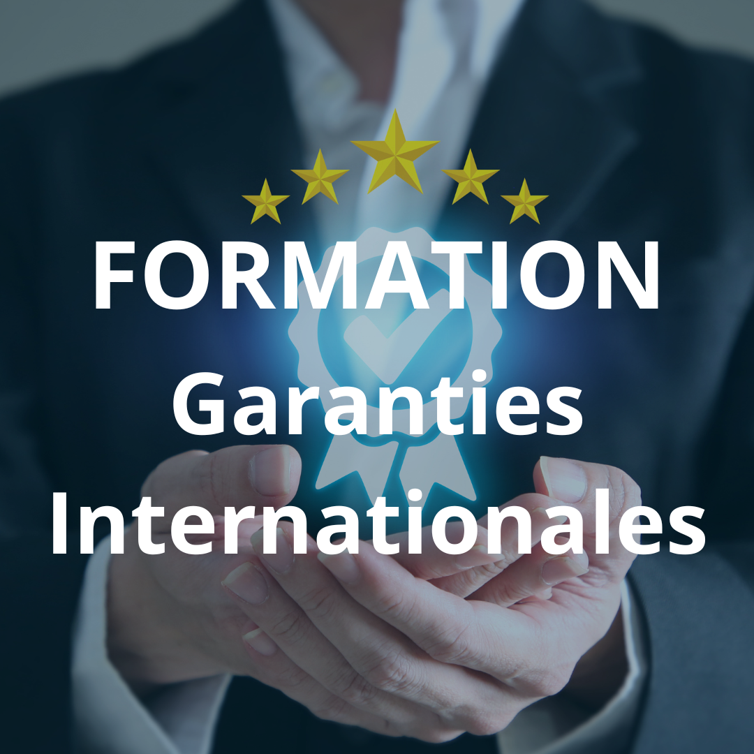 FORMATION | Les garanties internationales - en visio