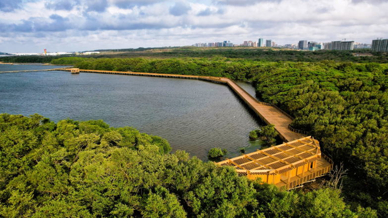 Innovative experiences to promote local development