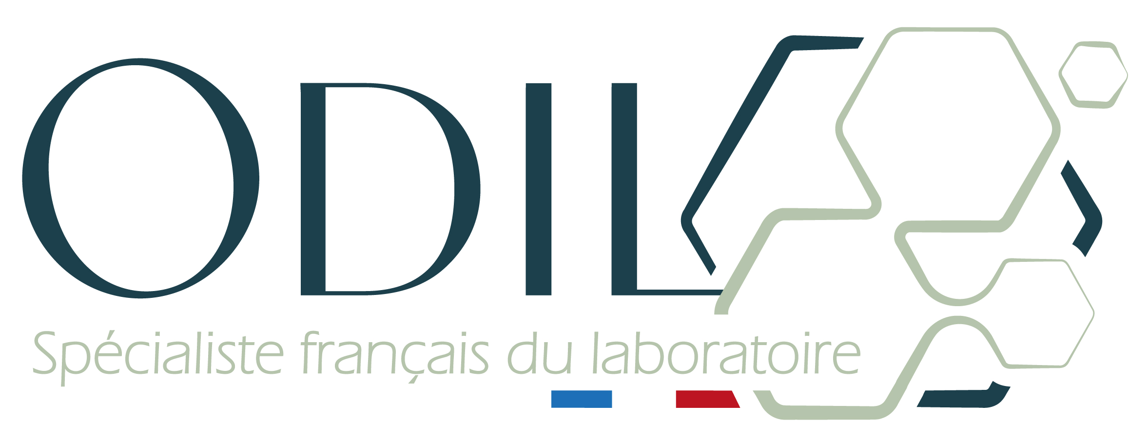 ODIL SAS