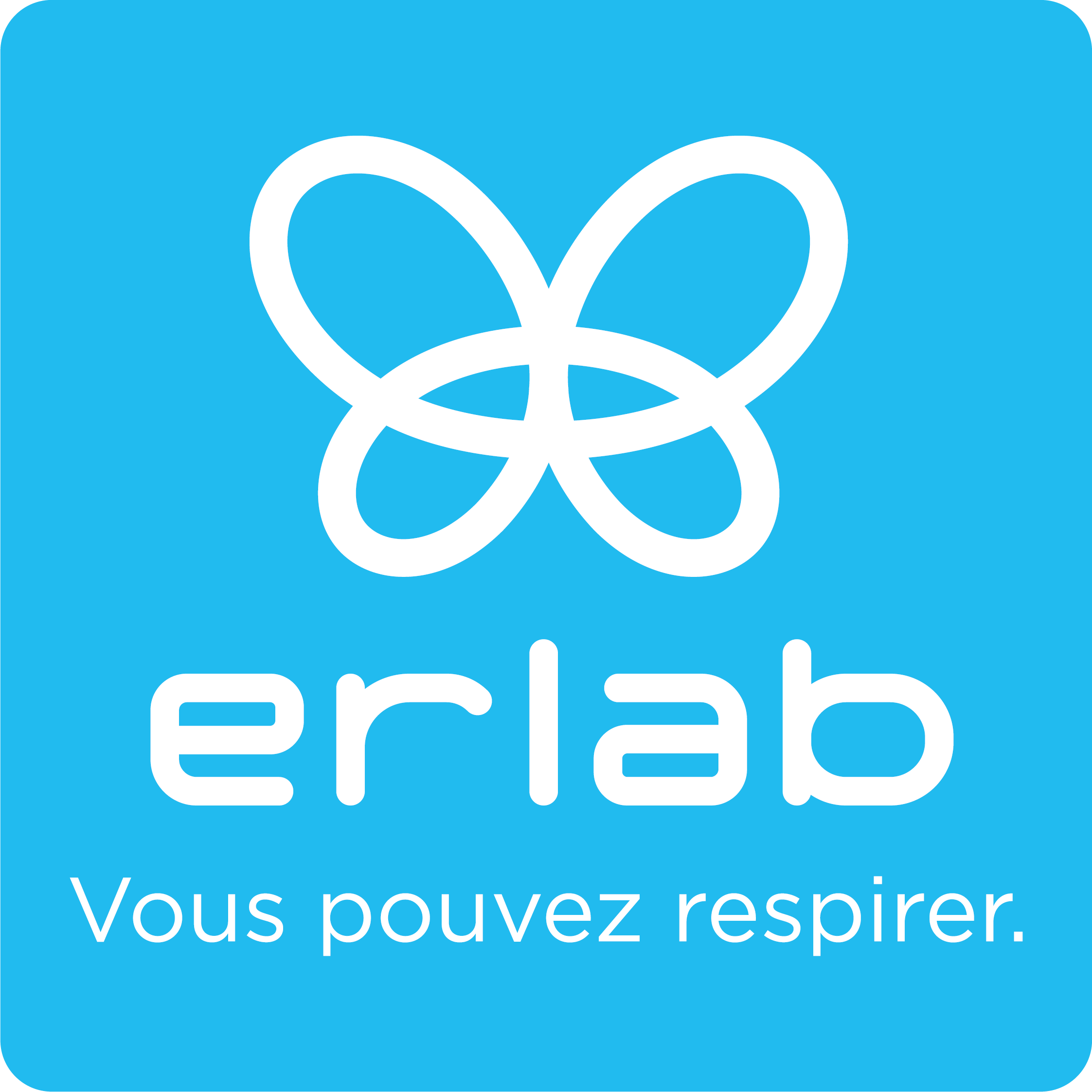 ERLAB DFS SAS
