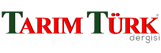 Tarim Türk