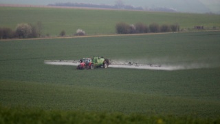 Pesticides, alimentation, bio : le Grand Est face au défi d’une agriculture durable…