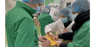 Les jeunes pousses de la cosmétique à la pointe de l’innovation