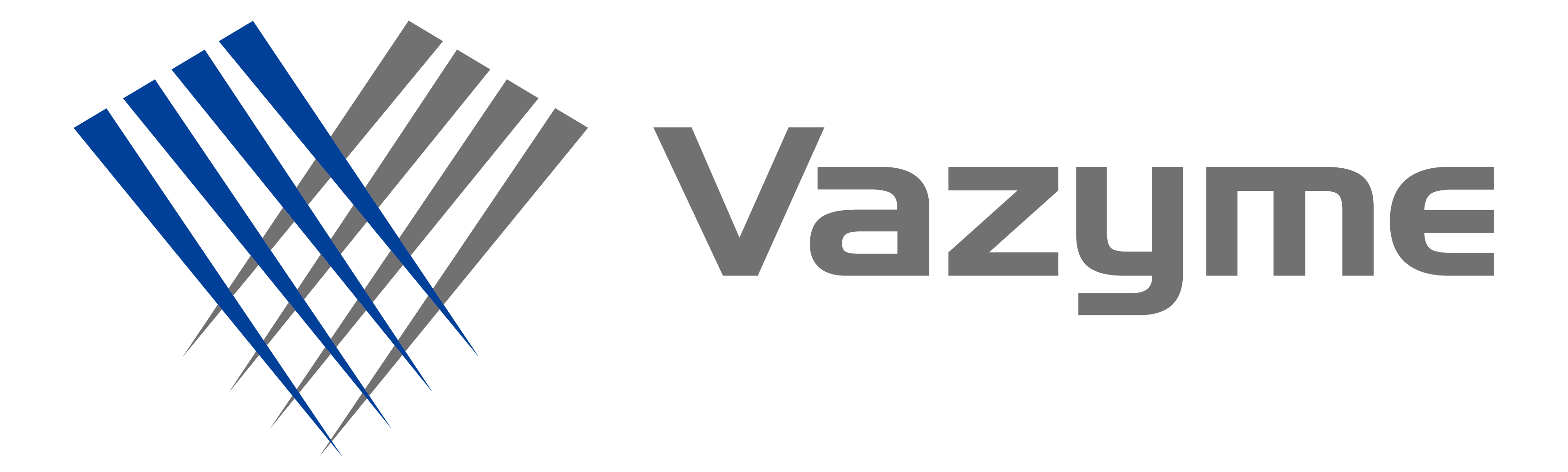 Vazyme