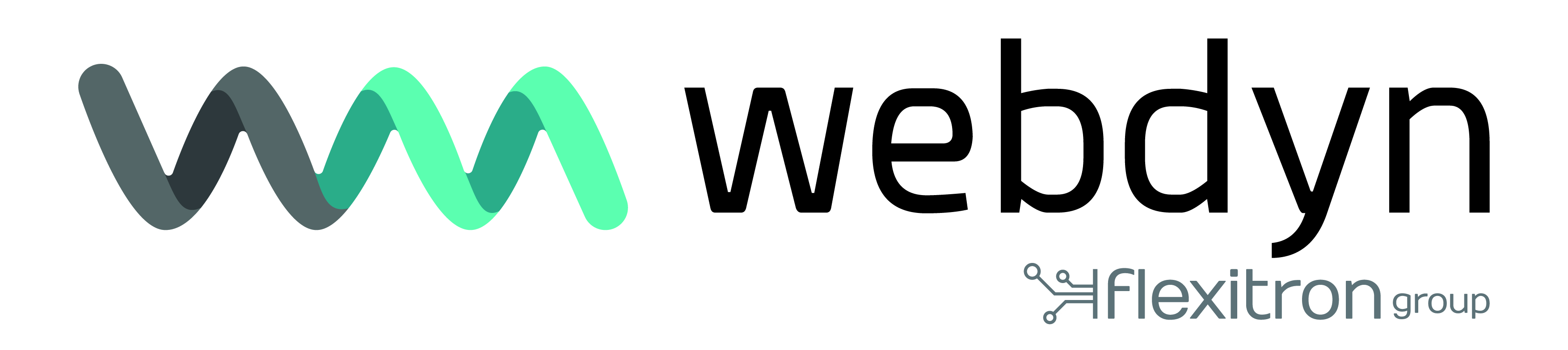 WEBDYN