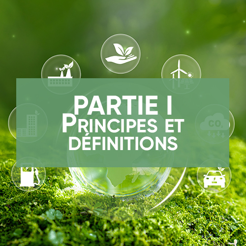 PARTIE I - Objectifs gouvernementaux de décarbonation