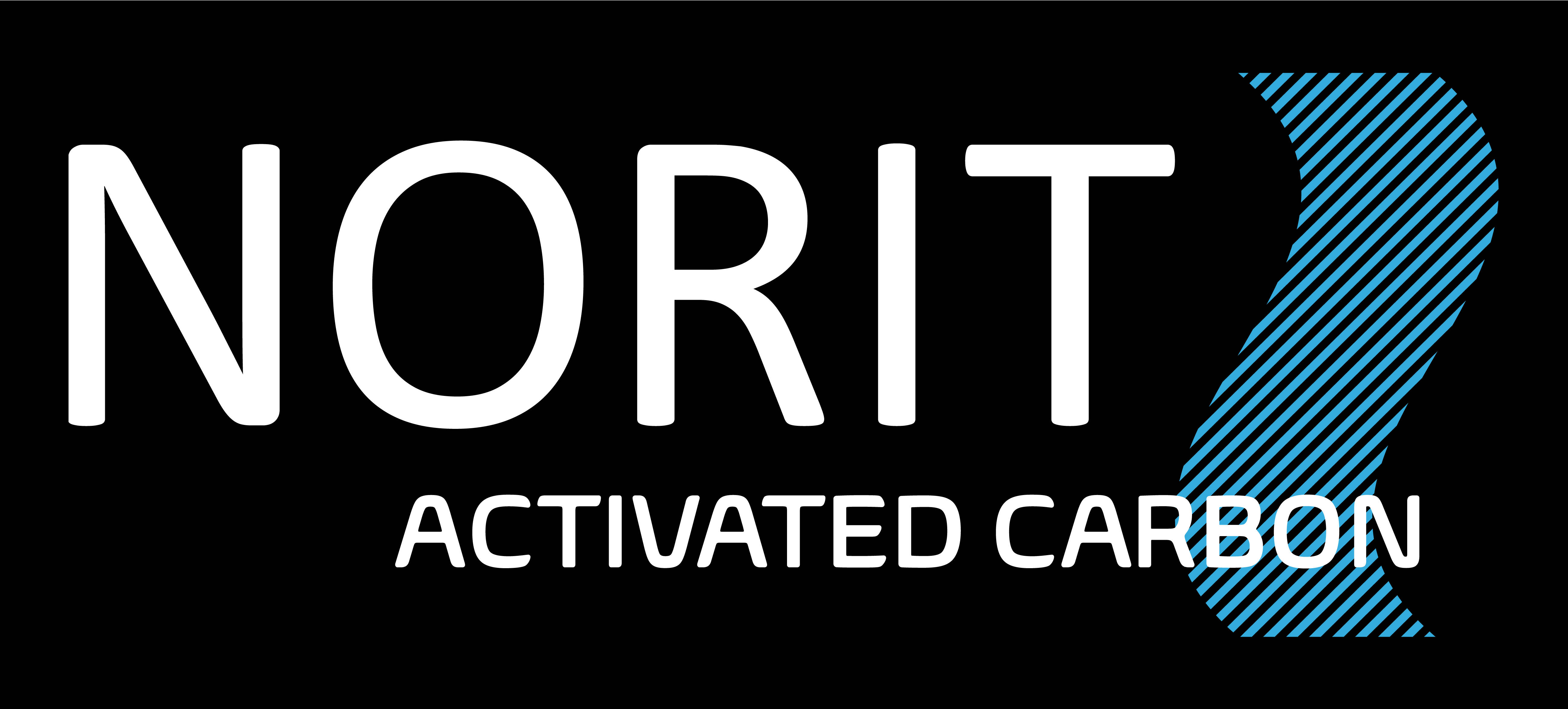NORIT CHARBON ACTIF