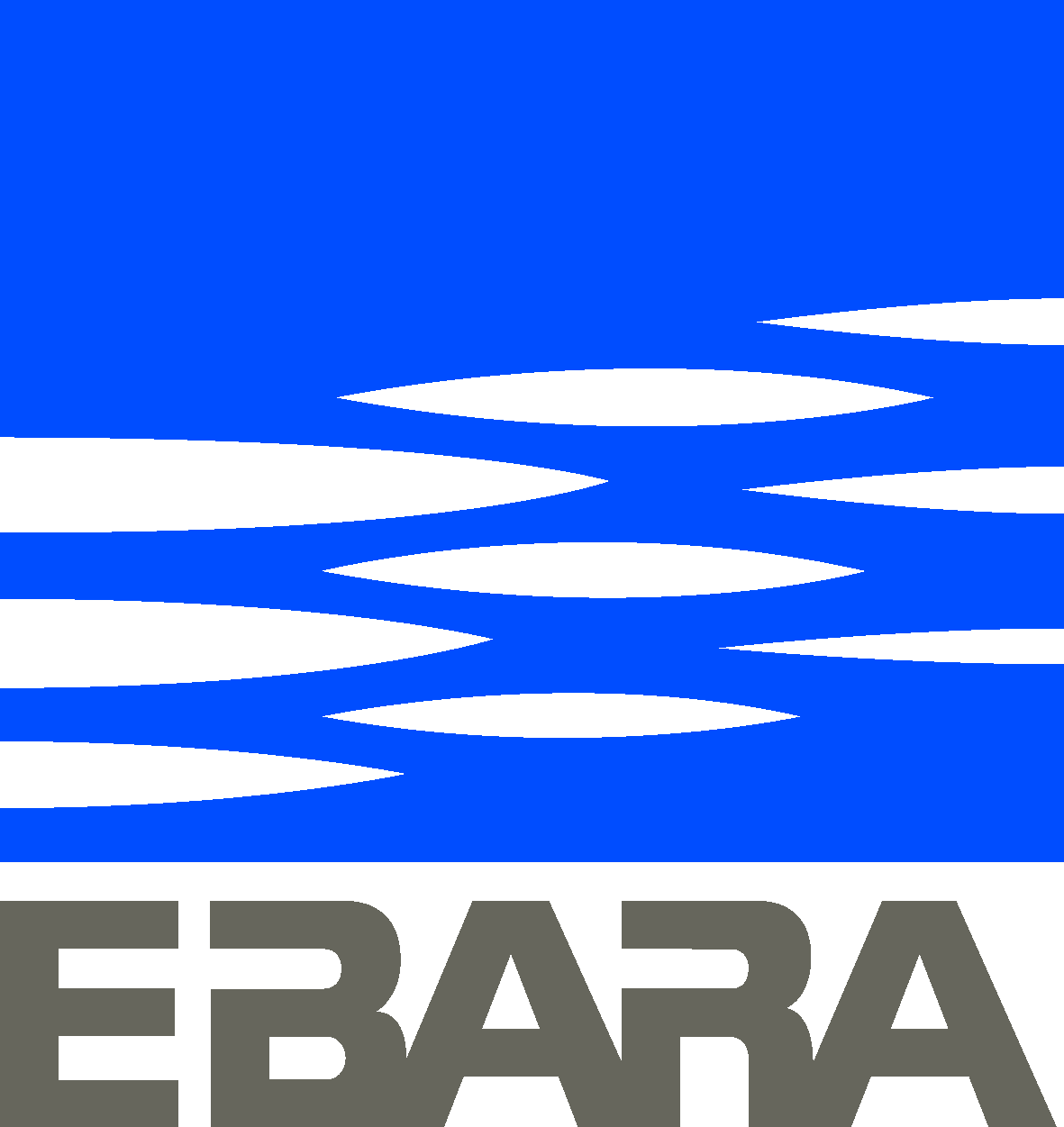 EBARA PUMPS EUROPE