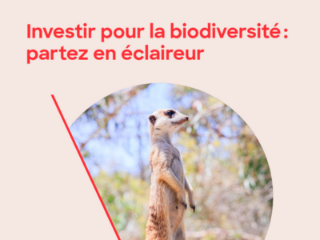 Comment mieux intégrer la biodiversité dans les offres d’investissement ou les stratégies d’allocation d’actifs ?