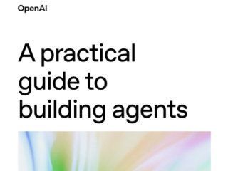 💡Open AI : le guide pratique pour construire un agent ! Par Joachim Savigny, Président Cheval Blanc Patrimoine 