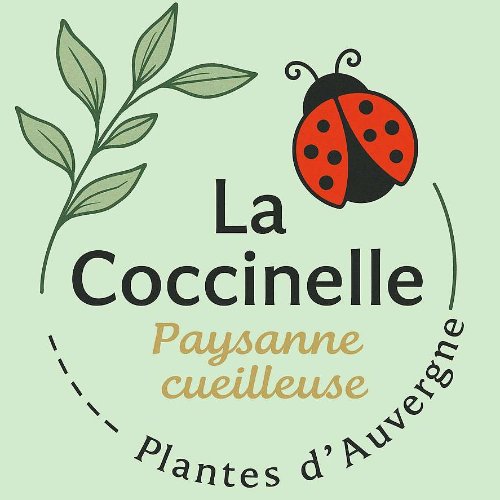 LA COCCINELLE