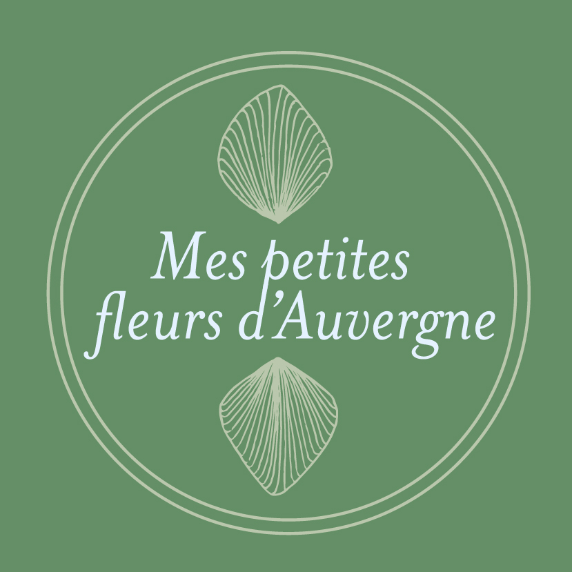 Mes petites fleurs d'Auvergne