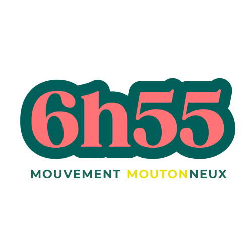 6H55 MOUVEMENT MOUTONNEUX