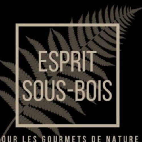 ESPRIT SOUS-BOIS
