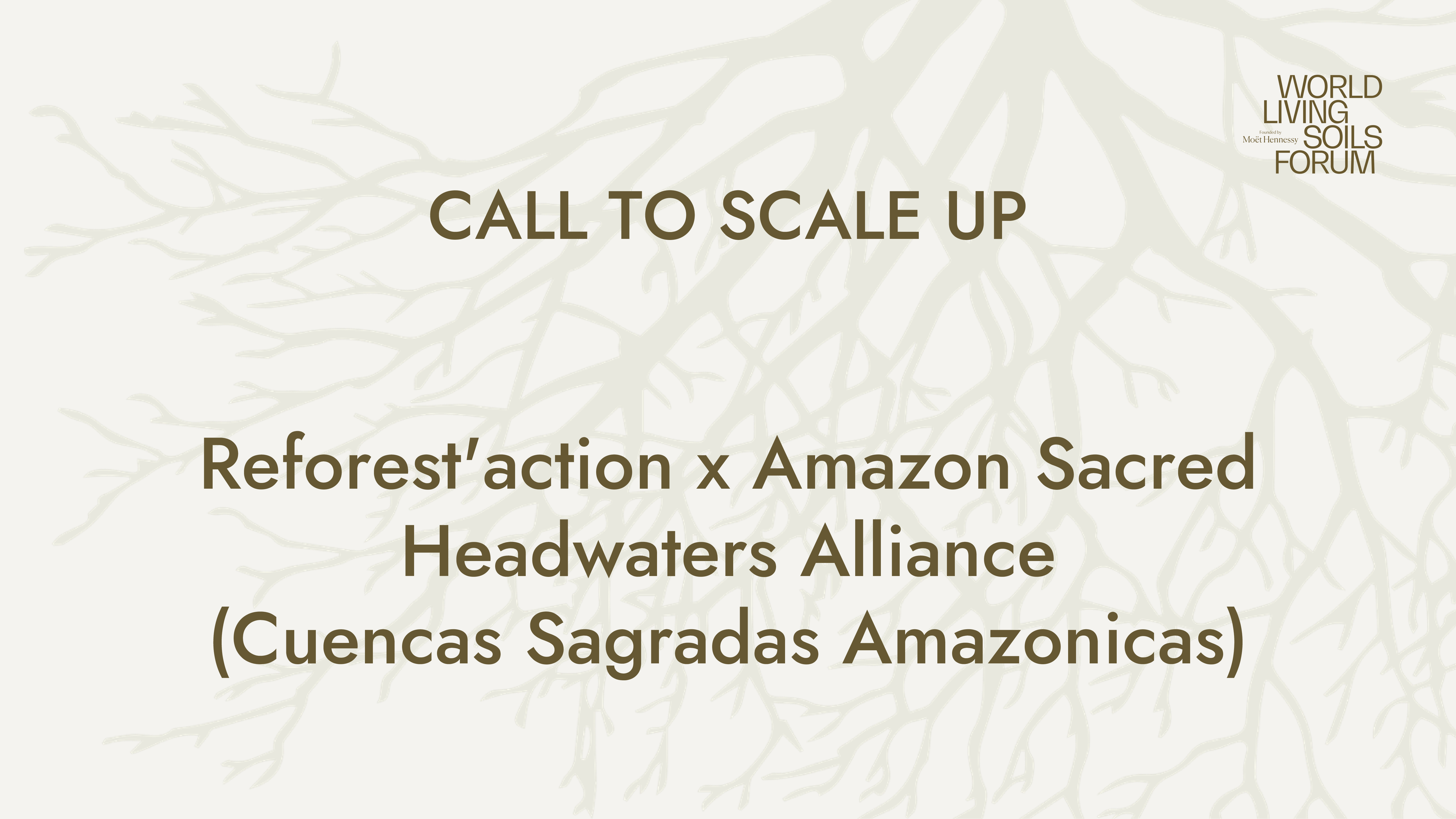 APPEL À L'ACCÉLÉRATION : Reforest'action x Amazon Sacred Headwaters Alliance (Cuencas Sagradas Amazonicas) 🔉