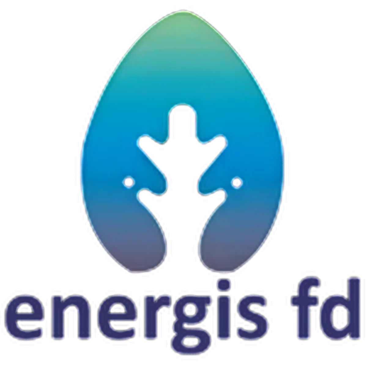 ENERGIS FD