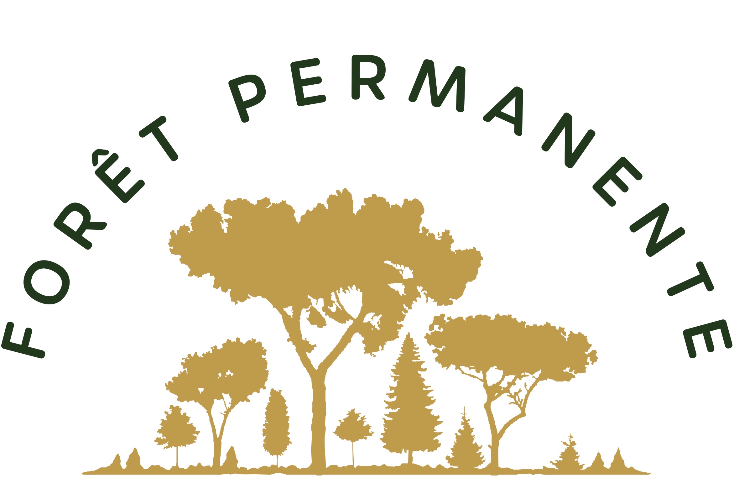 FORET PERMANENTE