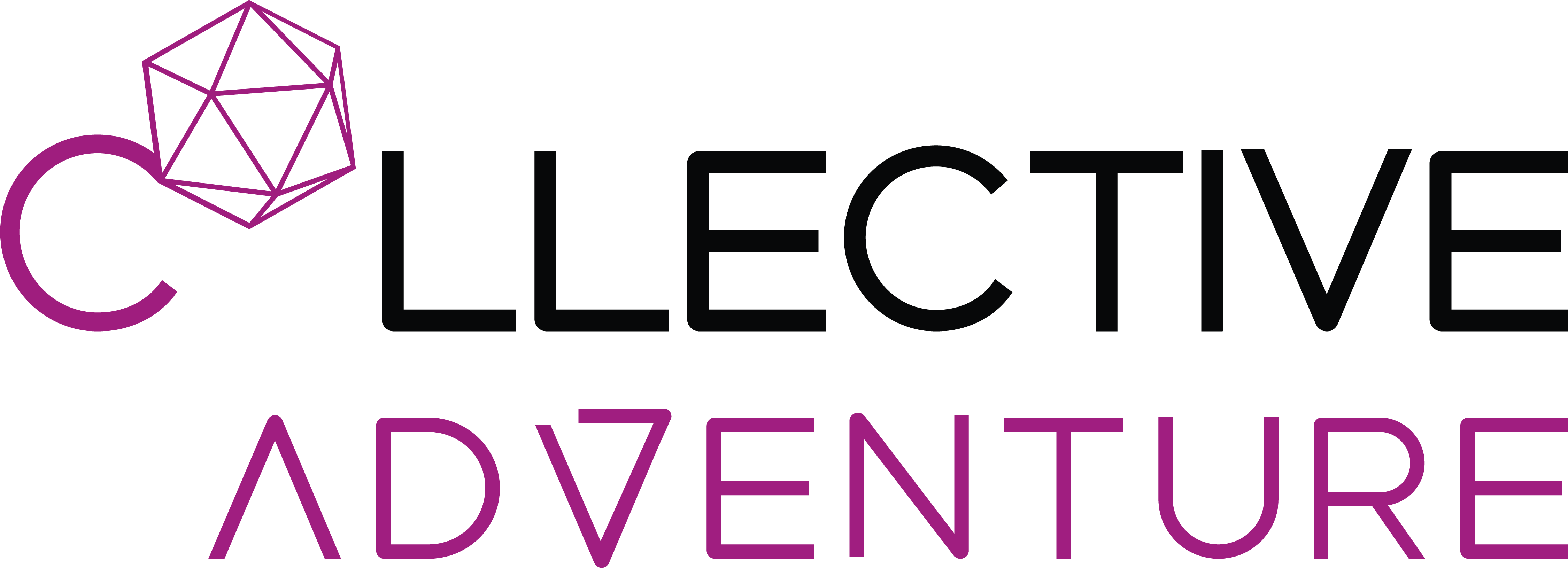 Collective Adventure 