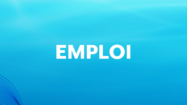 Les métiers de la mer recrutent : cap sur les opportunités en Méditerranée !