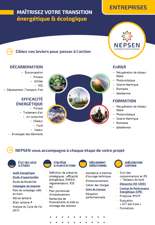 Offre de services NEPSEN
