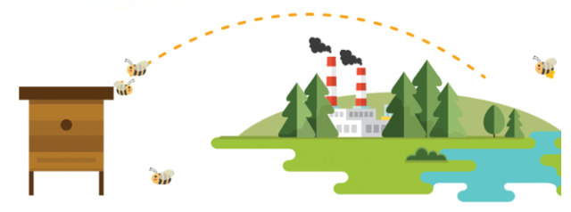 BeeOmonitoring, mesure de la biodiversité et de la pollution à l'échelle du territoire