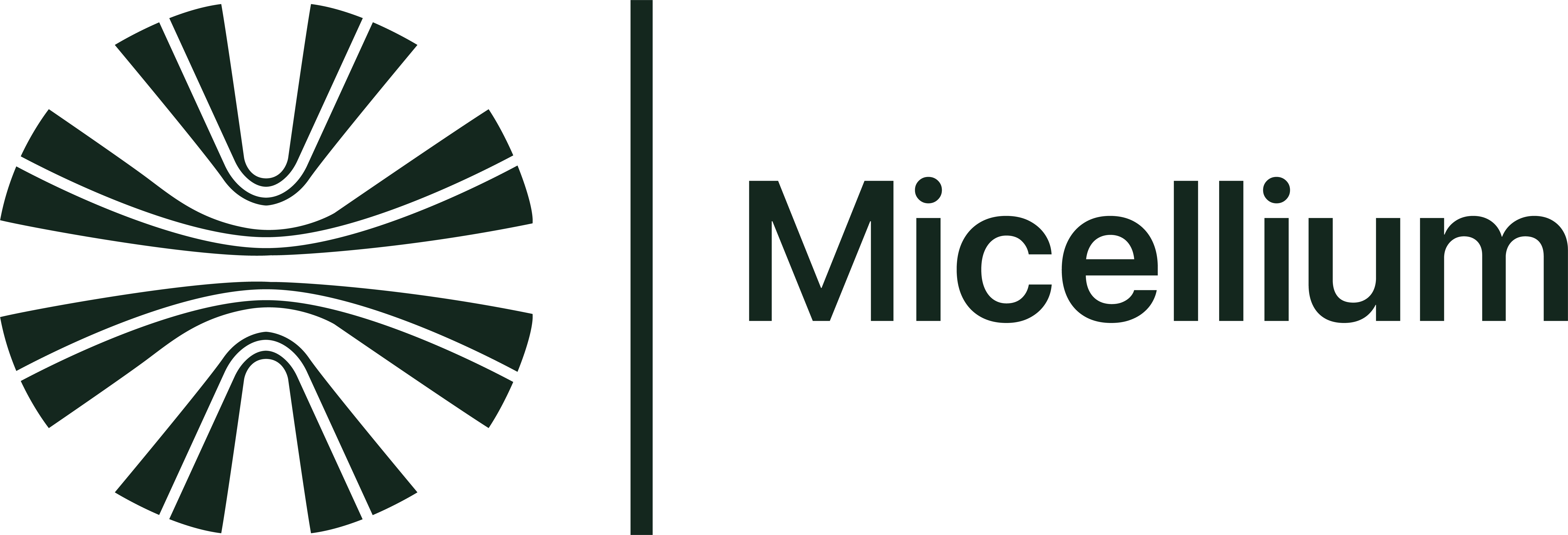 MICELLIUM