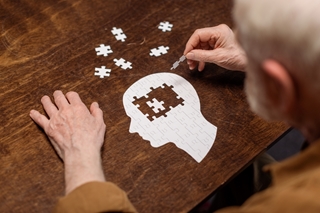 Le cerveau, un muscle comme les autres - Salon des Seniors
