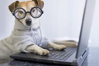 La minute informatique - Salon des Seniors