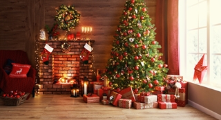 Que faire de son sapin après les fêtes ? 