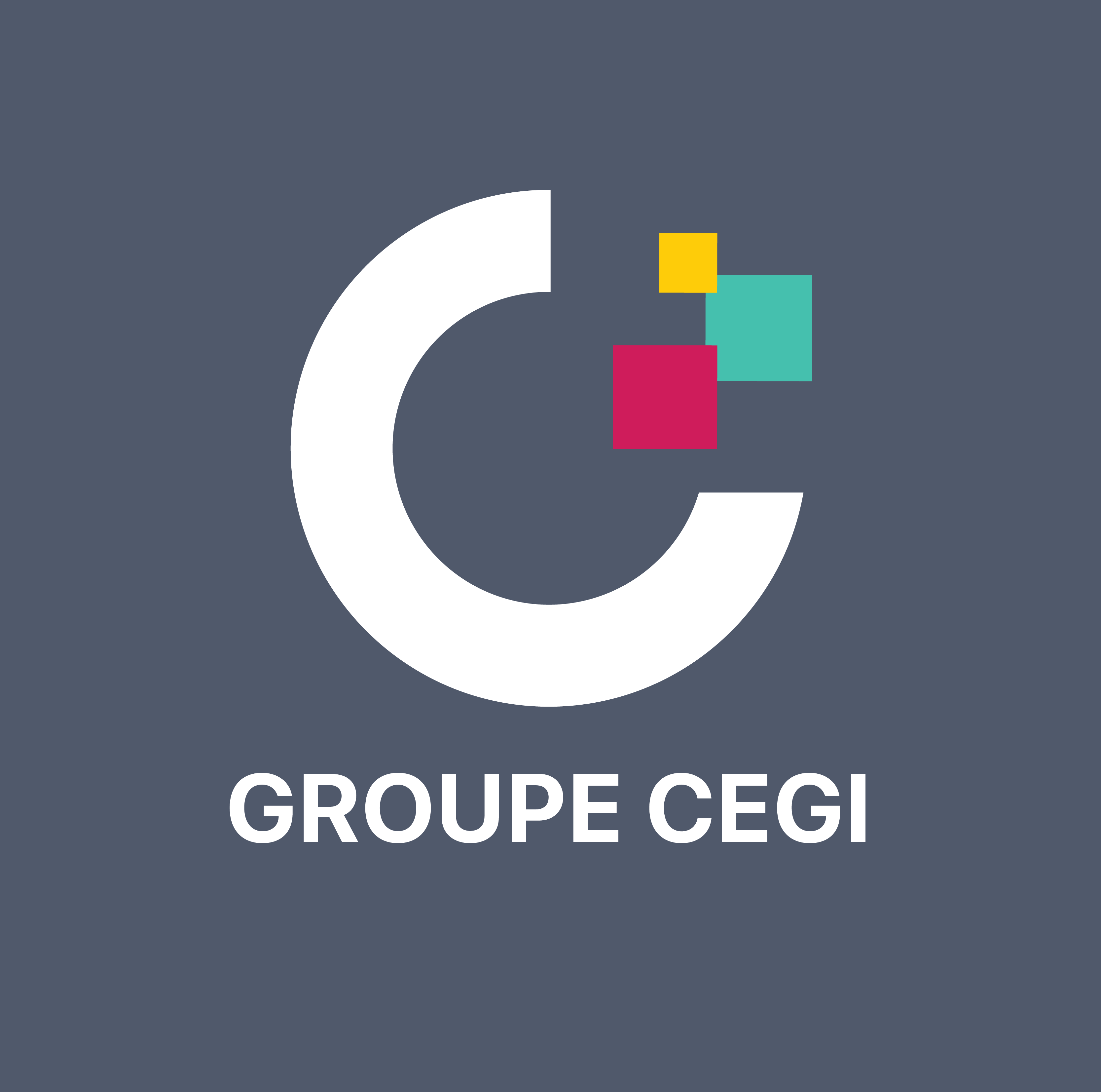 Groupe CEGI