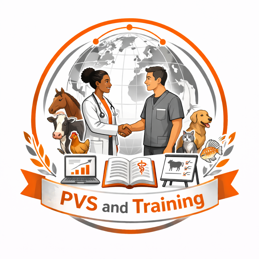 Capacity Building