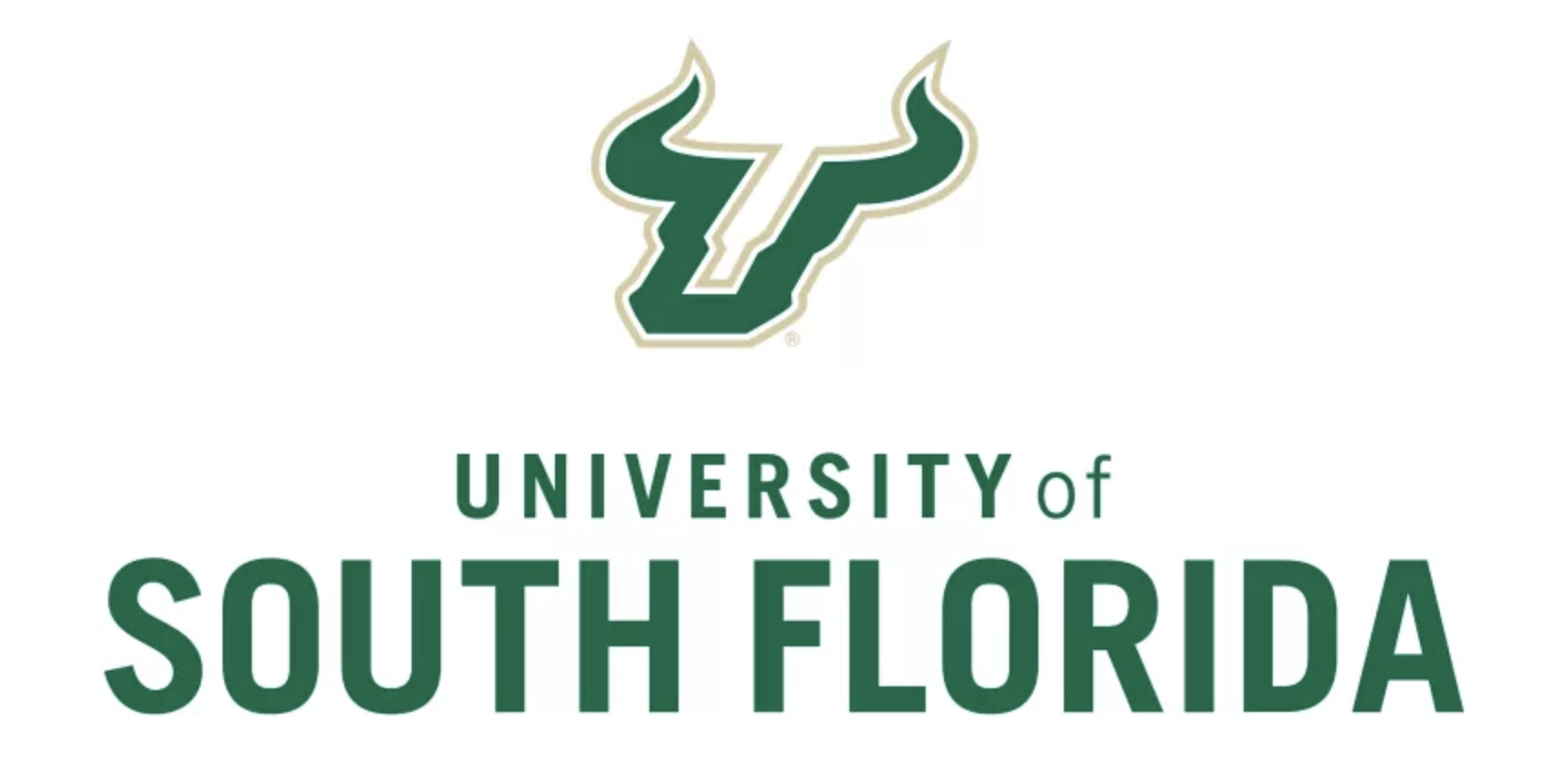 University of South Florida  