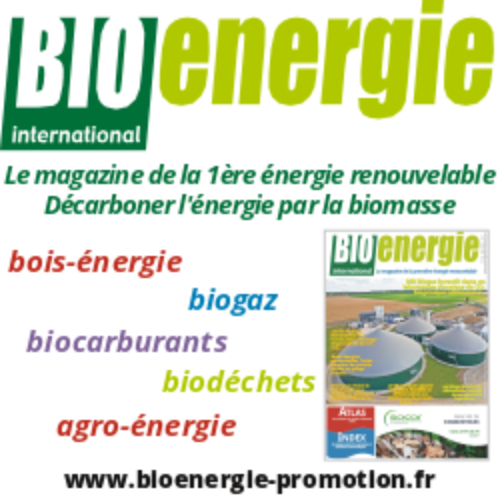 BIOENERGIE INTERNATIONAL