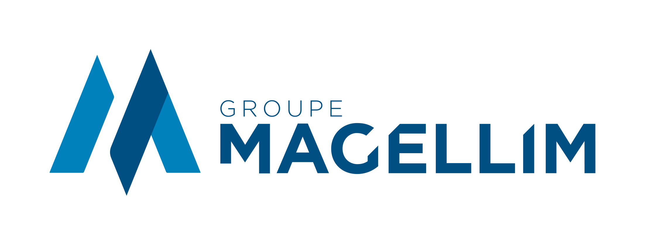 Groupe Magellim