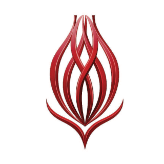 OPA Tulip